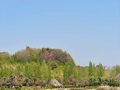 -洛龙公园