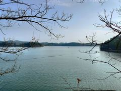 -仙海旅游度假区