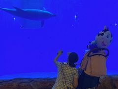 -华夏文旅海洋公园