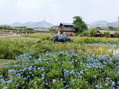 -盈香心动乐园