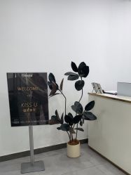 -KISS U 国际美学