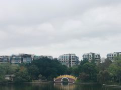 -公园茶楼粤式点心