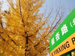 -西北农林科技大学(北校区)