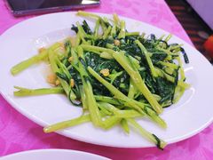 普宁豆酱炒通菜-正宗波记潮州砂锅粥(新洲一街店)