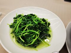 清炒时蔬-望乡楼上海菜(陆家浜路店)