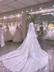 -艾米丽婚纱礼服