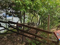 -云和湖仙宫景区