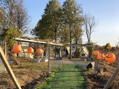 -安德鲁户外烧烤帐篷营地(马泉营店)