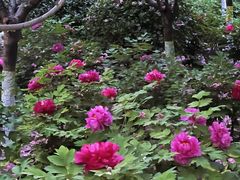 -太阳宫公园