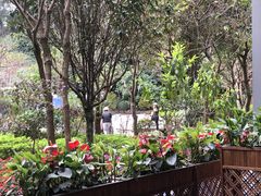 -南宁荔园维景国际酒店·荔园中餐厅