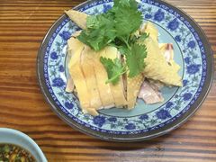 -九斤黄三黄鸡专卖店