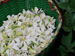 -楠溪江风景名胜区