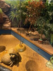 -未来动物城动物主题公园(大悦城店)