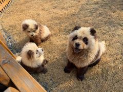 -茅山东方盐湖城景区