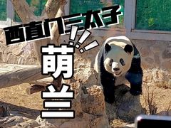 -北京动物园