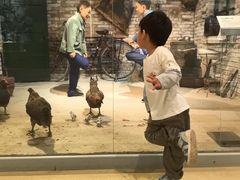 -嘉峪关城市博物馆