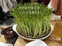 -好彩猪肚鸡(正弘城店)