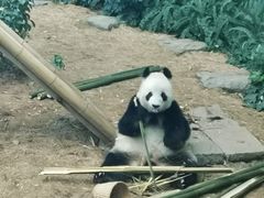 -大连森林动物园