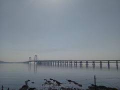 -星海湾跨海大桥