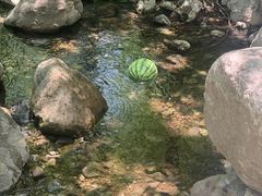 -玉渡山自然风景区