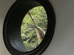 -虎跑公园