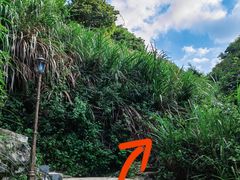 -阳台山森林公园