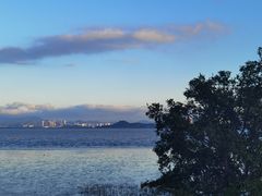 -福田红树林生态公园