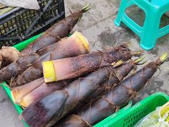 -海窝子古镇