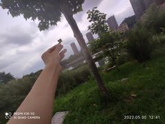 -贵阳市花溪国家城市湿地公园