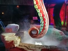 -贝壳梦幻世界