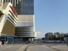 -万达广场(大明宫店)