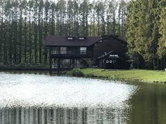 -黄海国家森林公园