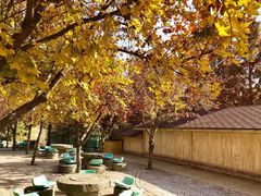 -沂蒙云瀑洞天景区
