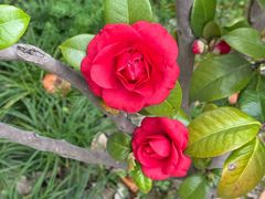 -浙江农林大学(东湖校区)