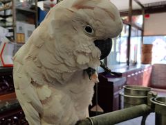 -四海楼(如皋定慧禅寺店)