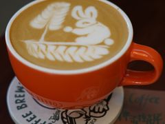 -SAFARI COFFEE
