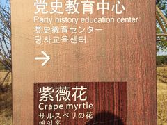 -洪湖湿地生态园