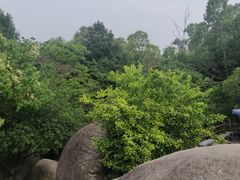 -火炉山森林公园