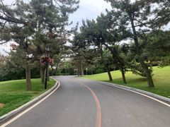 -棒棰岛宾馆景区