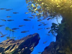 -太平洋海底世界