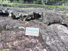 -海口火山口国家地质公园