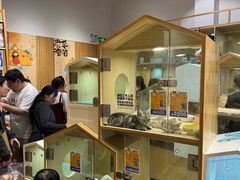 -屋虎猫馆(宝安大仟里店)