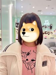 -VS假发