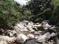 -海南热带雨林国家公园吊罗山景区