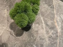 -漫·汤泉