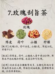 -Fundi张玉珊修身堂·indiba·BTL科技瘦身