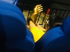 -奥斯卡国际影城(杜比全景声&4D激光店)