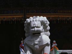 -大召无量寺