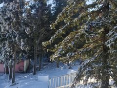 -溪口商量岗景区