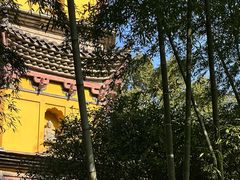 -阿育王寺